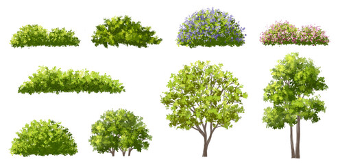 Vector watercolor blooming flower tree or forest side view isolated on white background for landscape and architecture drawing,elements for environment or and garden,shrub for section ,Set of floral,b