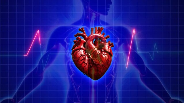 Heart Rate Line Heart Pulse Rate Animation, Medical Heart Beating . Neon Cardiogram Heart Beat Line Animation With 3d Heart  Ecg, 3d Heart Beating Animatio,  Ekg Heart Pulse Animation Heart Animation 
