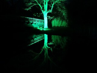 Mystisch grüner beleuchteter Braum vor einer Brücke tief ins Wasser spiegelnd bei Nacht