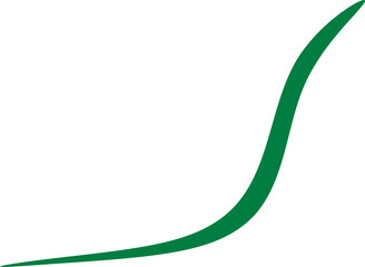 Hand drawn line illustration. Decorative line design element