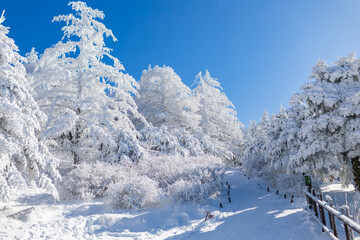 snowscene mountain