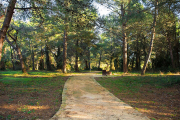 A footpath on Vizula Peninsula in Medulin, Istria, Croatia. December