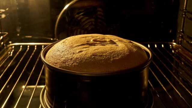 Vanilla biscuit baking inside electric oven. Homemade bakery concept. Homemade pie baked in oven, timelapse. Tasty food. Close-up view in 4k, UHD