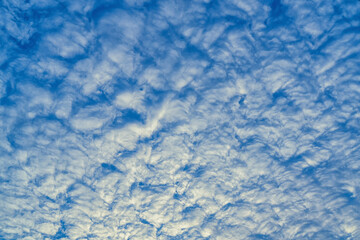 Beautiful waves of clouds against bright blue sky.