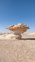 The mushroom-shaped formations are 3-4.5 metres tall. Wind and sand over thousands of years...