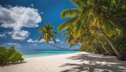 tropical beach, sand, sea, photography backdrop, wedding backdrop, maternity backdrop