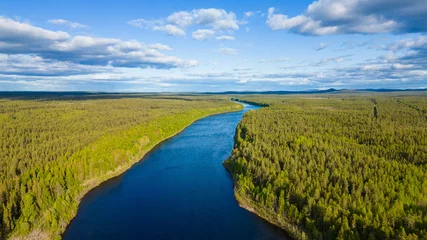Foto auf Alu-Dibond Water stream leading through a forest in Lapland, Finland on a beautiful summer day © Photofex