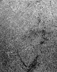 Vintage Lines Textures. Full page old line texture background with fine details