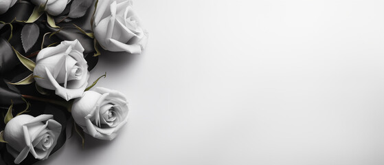 Minimalist Sympathy Condolences card. Roses on a muted light grey background. Funeral concept. Copy space