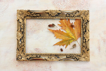 image of autumn leaves close up over white vintage wooden background