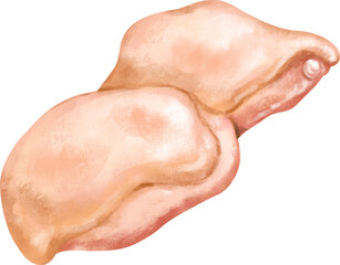 watercolor chicken breast - obrazy, fototapety, plakaty