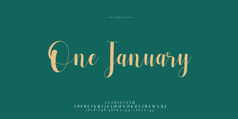 signature Font Calligraphy Logotype Script Brush Font Type Font lettering handwritten	
