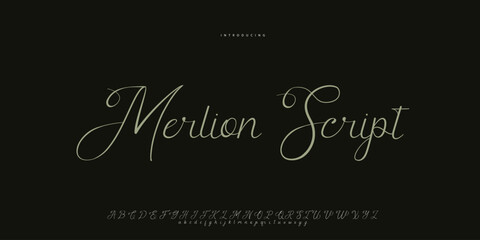 signature Font Calligraphy Logotype Script Brush Font Type Font lettering handwritten	
