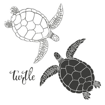 Turtle, hand drawn vector set of templates for menu design, packaging, restaurants and catering. Silhouettes and outline.