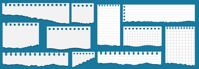 Pieces of paper of different types. Torn notebook papers set. Blank with a grid notebook ripped out papers. White paper sheets of square with cell horizontal line and perforation. Vector