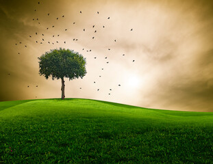 Baum in einer Landschaft mit dramatischem Himmel und auffliegenden Rabenvögeln