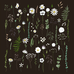 Vector set of white filed flowers and plants on dark background. Big collection of dandelions, daisies, chamomile, leaves, branches, twigs, and berries. Hand-drawn flat vector illustration.