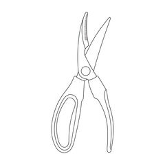 Hand drawn Kids drawing Cartoon Vector illustration poultry snips Isolated in doodle style