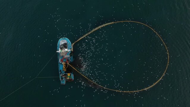 fishing vessels fishing in the Black Sea , bird's-eye view, aerial photography , bird's-eye view, aerial photography