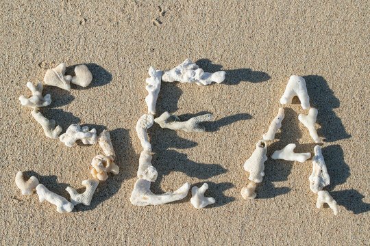 Concept for warming of the seas. English word "SEA" written with pieces of dead corals on a sandy beach.
