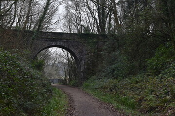 Fototapeta na wymiar a bridge that goes over the tarka trail between torrington and bideford