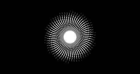 Black and white dotted spiral circles. Seamless looping animation