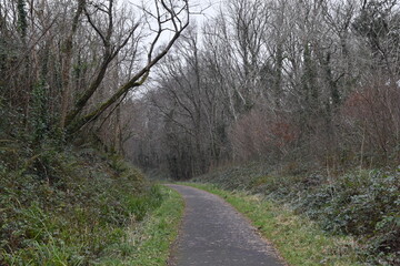 Fototapeta na wymiar a walk along the the tarka trail next to Torrington