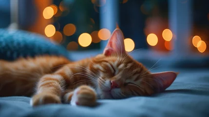 Foto op Plexiglas Sleeping cat on a bed near a night window, ginger cat lying on bed, generative ai © OP38Studio