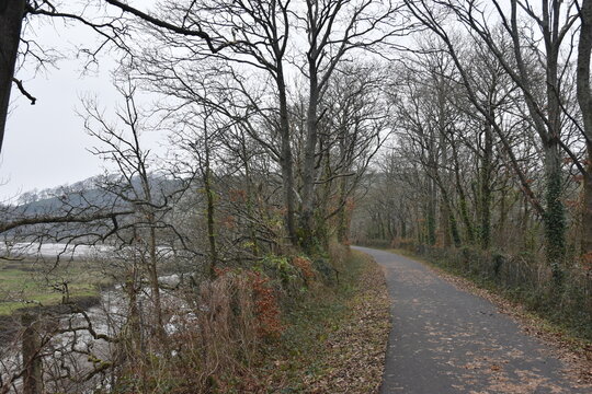 a walk along the the tarka trail next to Torrington