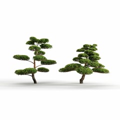 3D rendering of Bonsai trees on a white background