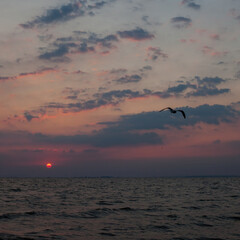 The picturesque sun over the sea