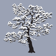 Monochrome Snow Covered Pine Tree Isolated on Gray - 727057129