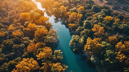 Fototapeta na wymiar Autumnal River Serenade