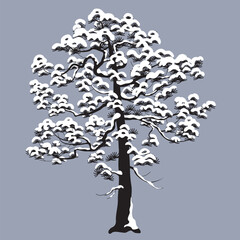 Monochrome Snow Covered Pine Tree Isolated on Gray - 727058140