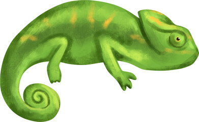 watercolor chameleon