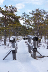 A snowy wooden bridge on a walking path on a winter day