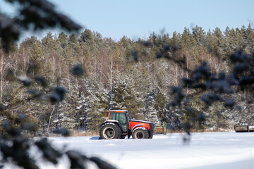 Red tractor in winter on snow with forest in background