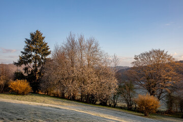 Frosty garden in spring in Le Mesnil en Ouche, France