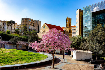 Fototapeta premium Small park in central Beirut, Lebanon