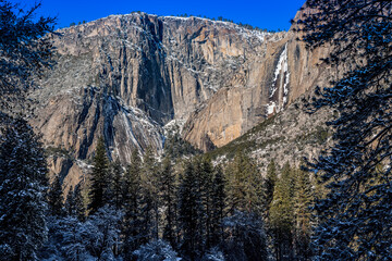 Fototapeta na wymiar View through the Snow Trees of Upper Yosemite Falls, Yosemite National Park, California