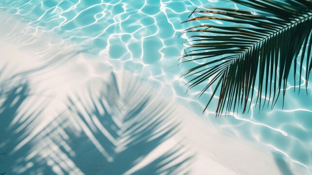 top view of water surface with tropical leaf shadow. Shadow of palm leaves on white sand beach.