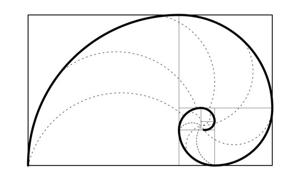 Golden spiral template. Golden ration and the Fibonacci Spiral. PNG