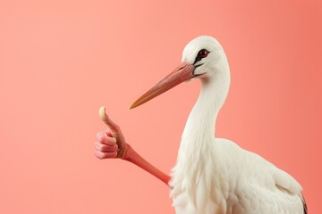 Stork showing thumb up. AI generative art
