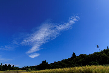 秋の空と収穫前の稲穂