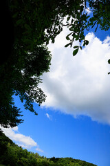 夏の空に浮かぶ雲