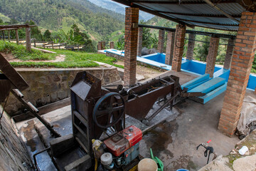 Abakundakawa coffee grower's cooperative, Minazi coffee washing station, Gakenke district, Rwanda