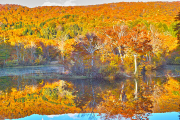 日本の秋の風景（月山地蔵沼。山形県）
