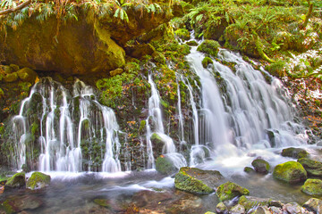 日本の滝（本滝伏流水。秋田県）
