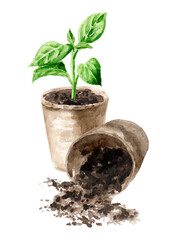 Sprouts ready for planting. Spring works in the garden. Hand drawn watercolor illustration, isolated on white background