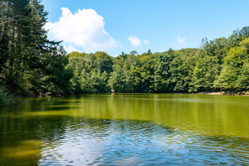 Obraz premium lake in the umbrian forest